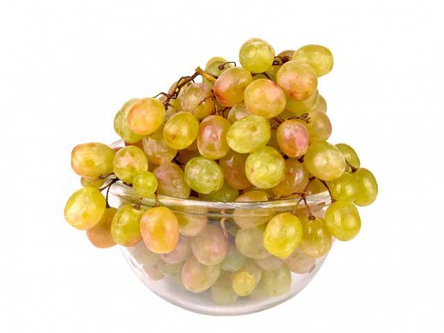 云呼电话轰炸机网页版