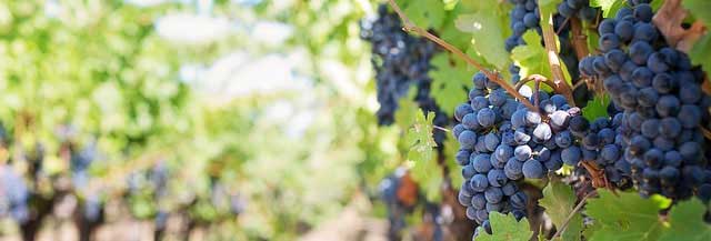 手机号测压源码